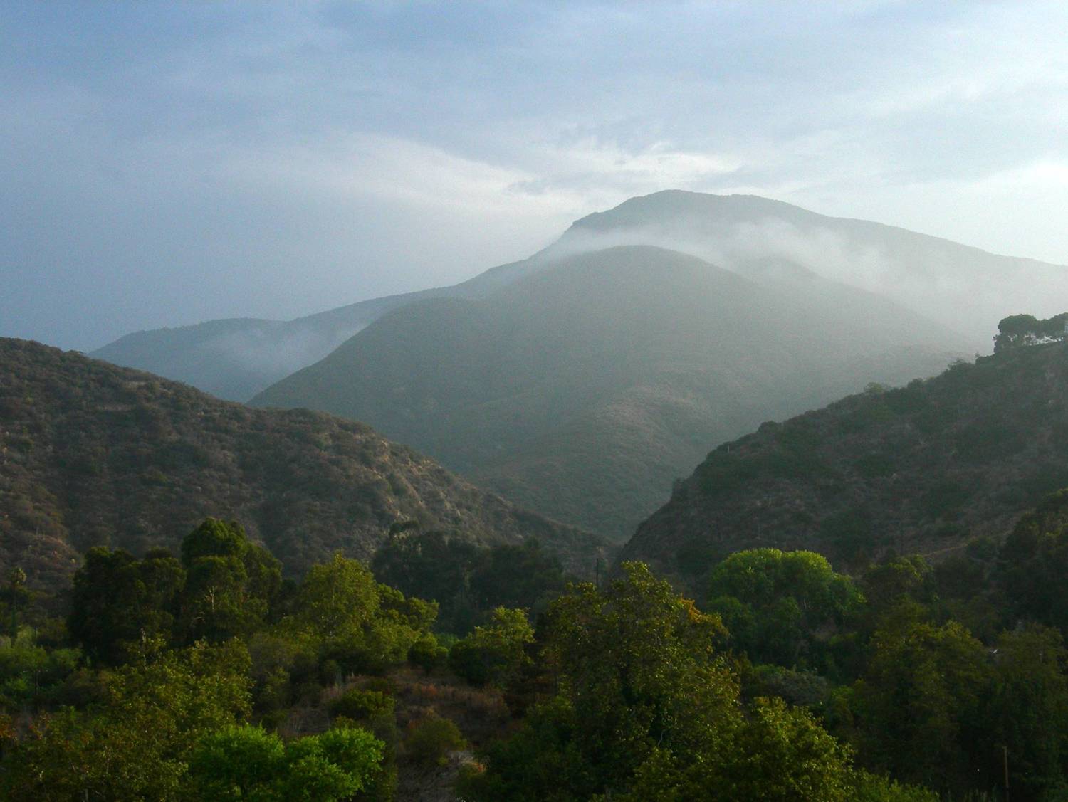 Topanga Vista