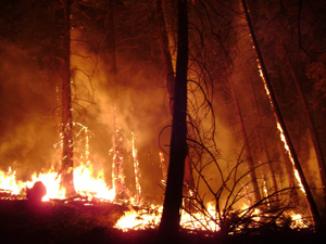 Palomar Mountain SP on fire