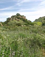 Scenic Ridge