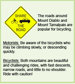 Share the road with cars and bicycles