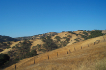 Summer hills at Pacheco SP