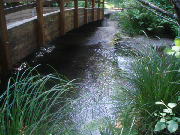 Intact ford on the Little River