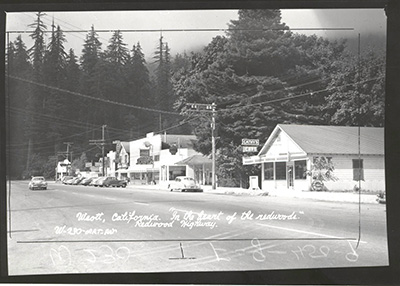Weott, looking south on Avenue of the Giants, 1950
