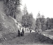 Building the road at Mendocino Woodlands