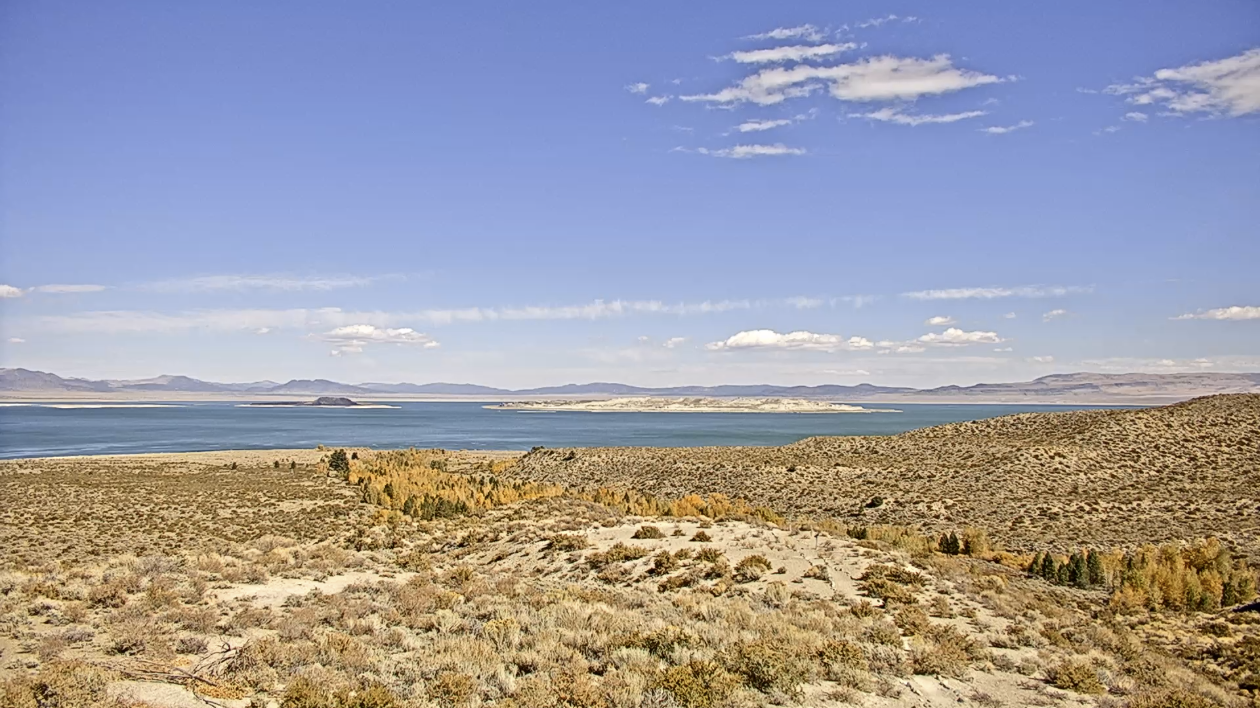 Mono Lake Tufa Live Stream
