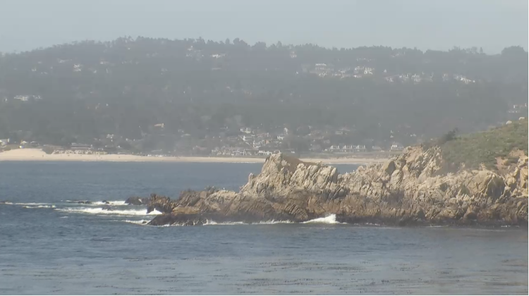 Whalers Cove Screen Cap
