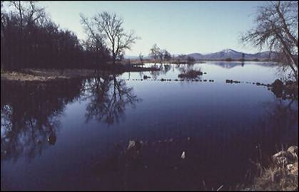 Image of springs at Big Lake