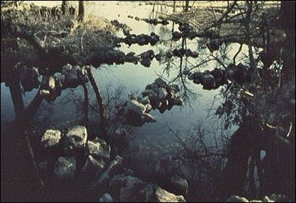Image of stone fish traps