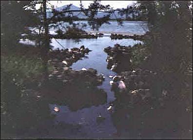 Image of Ahjumawi Lava Springs State Park