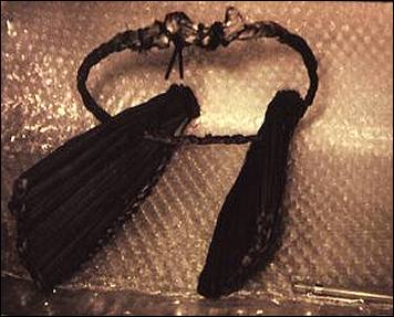Image of tule blinders