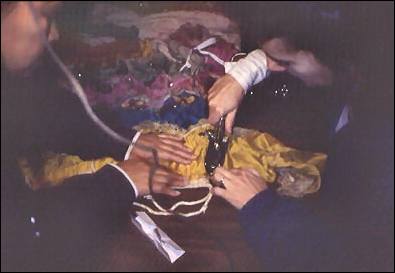 Image of Lion skirt resoration