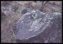 Basalt Boulder