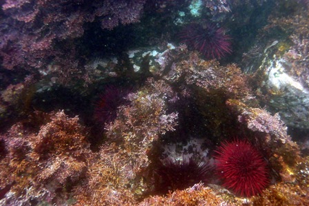 Submerged anchor used in historic ship mooring systems