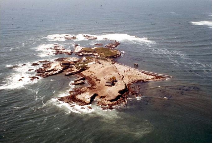 Año Nuevo Island