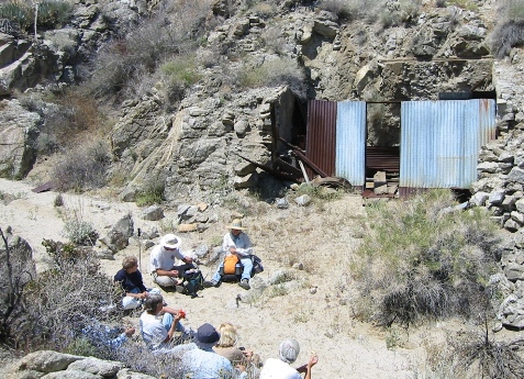 Cabin Ruins