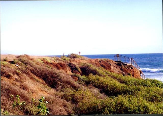 Chumash Millingstone site at Leo Carrillo State Park