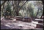 Upper picnic area at Marshall Gold Discovery SHP