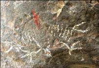 Condor Flight Bear Paw Petroglyph