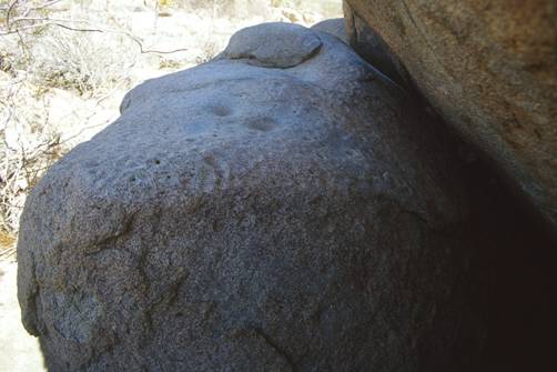Cupule Boulder