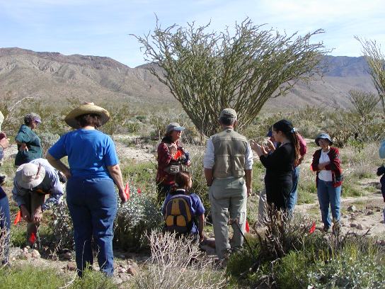Site stewards training in the field.