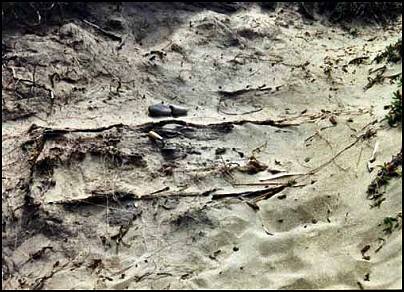 Image of the burial location