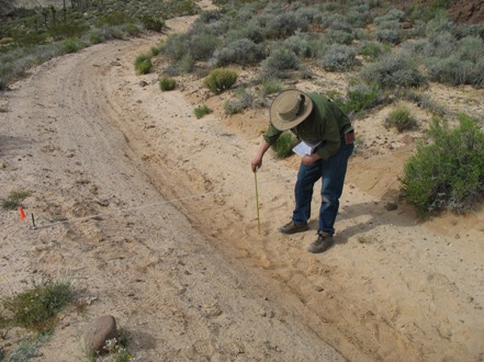 Figure 3. Producing a profile of the road surface
