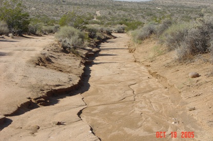 Figure 4. Unauthorized motorcycle trail below Old Ducth Cleanseer Mine Road