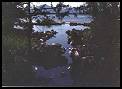 Image of fish traps