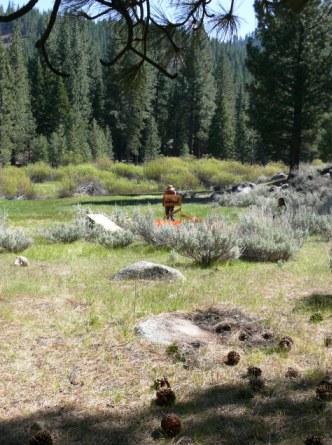 Grover Hot Springs was the site of prehistoric archaeological excavations.