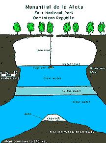 Limestone Sinkhole: Diving in Manantial de la Aleta