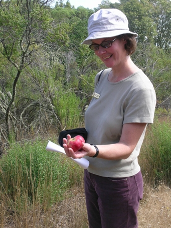 NPS Landscape Architect Susan Dolan at Sonoma Developmental Orchard (Jack London)