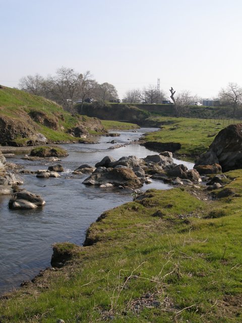 Marsh Creek in Conta Costa County