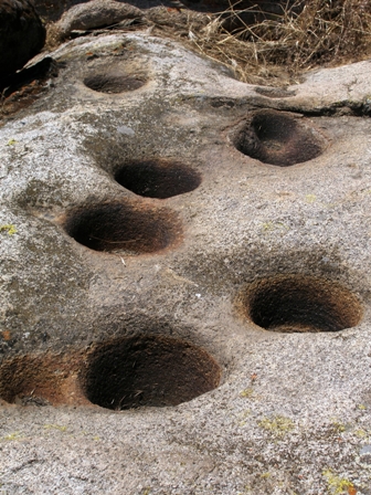 Bedrock Mortars are found in the open grassland areas.
