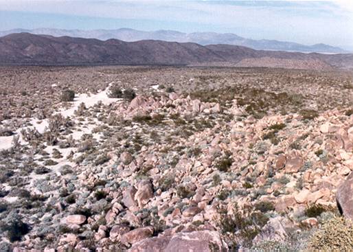 Figure 3: View to the North from CA-SDI-813