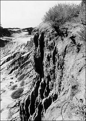 Image of eroding bluff