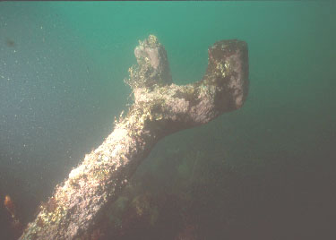 Pomona connecting rod
