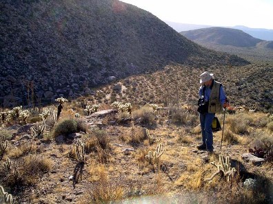 Site steward records roasting pit site.