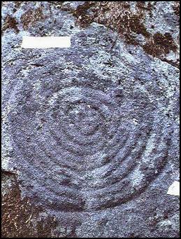Image of concentric circle