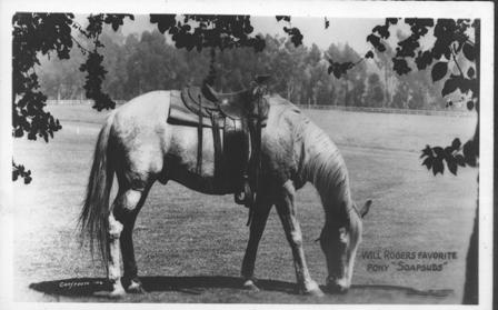 Soapsuds grazing
