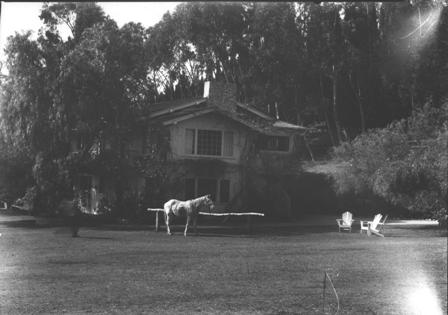 Soapsuds at home on the Will Rogers Ranch