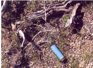 Leftover shotgun shell