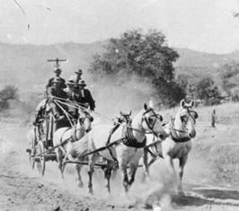 Stage Galloping Into Shasta