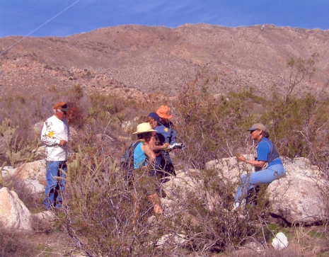 Bedrock milling identification