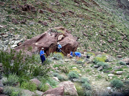 Site stewards recording site