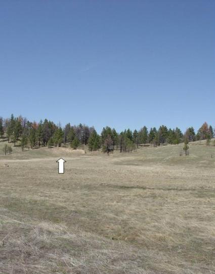 Overview of Stonewall Mine site