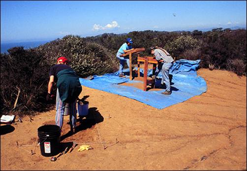 Image of test excavation