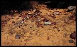 Image of fire-affected rock