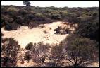 Image of site