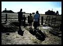Visitors at the excavation site