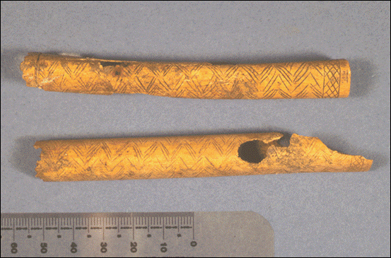 Wing bone flutes